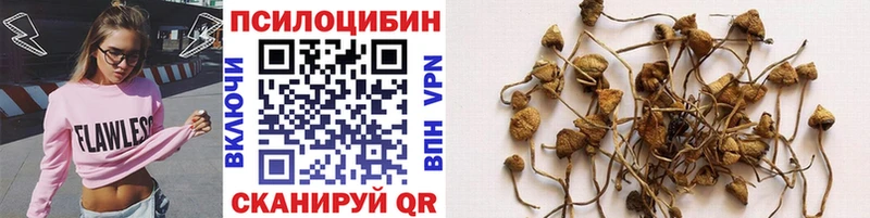 Галлюциногенные грибы MAGIC MUSHROOMS Сухой Лог