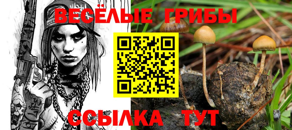 Псилоцибиновые грибы прущие грибы  наркошоп  Сухой Лог  Псилоцибиновые грибы Magic Shrooms  Вход с VPN 