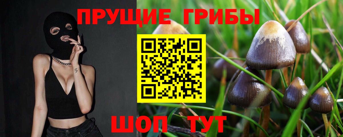 Псилоцибиновые грибы ЛСД Сухой Лог