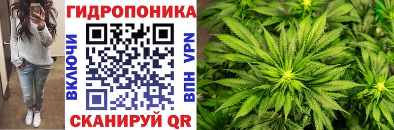 Канабис SATIVA & INDICA  Сухой Лог 